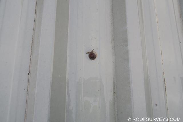 Spot corrosion