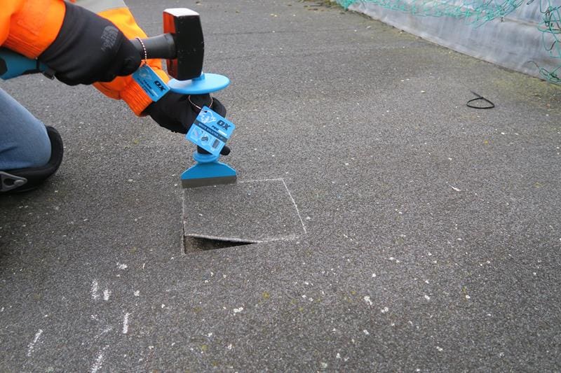 Flat roof with fungal growth and ponding water from a flat roof survey