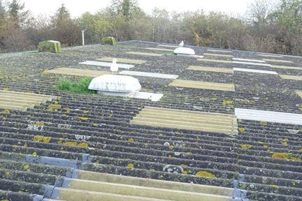 asbestos roof survey